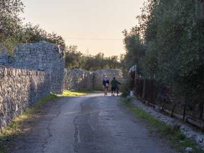 ...che ci porta su un vecchio tratturo circondato da ulivi e fichi d�india
